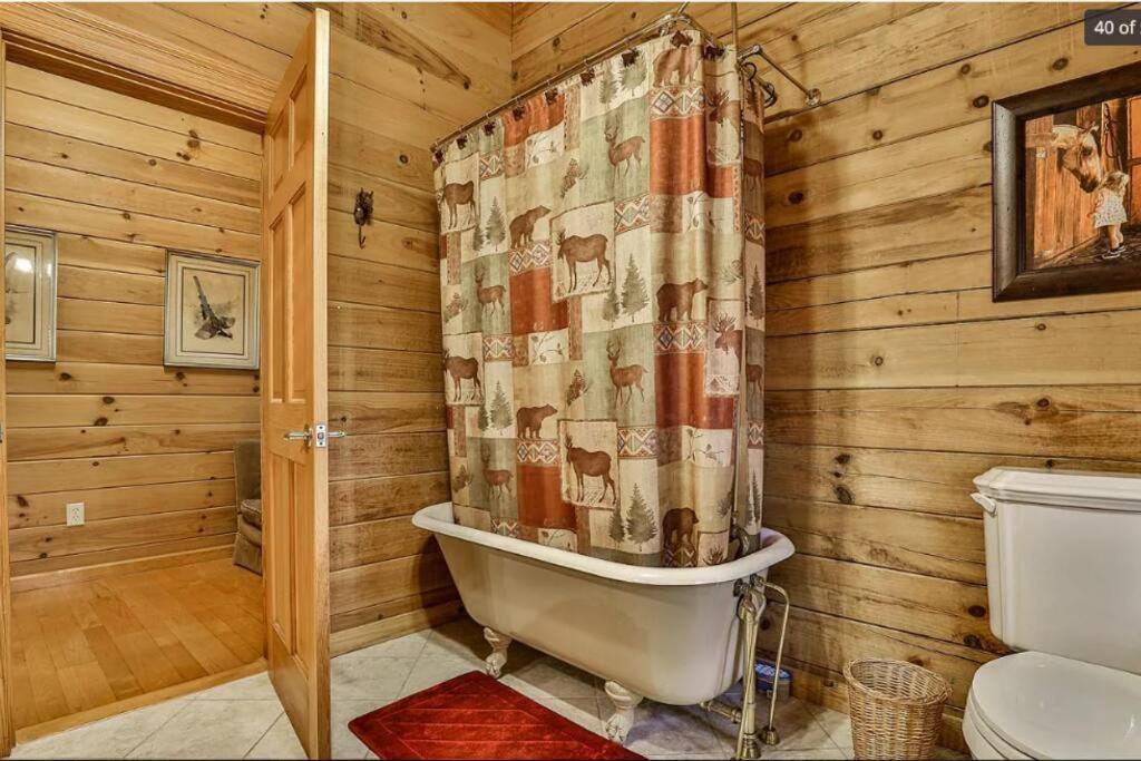 Blue Ridge Bliss- Spacious Cabin, Pets, Hot Tub! エクステリア 写真